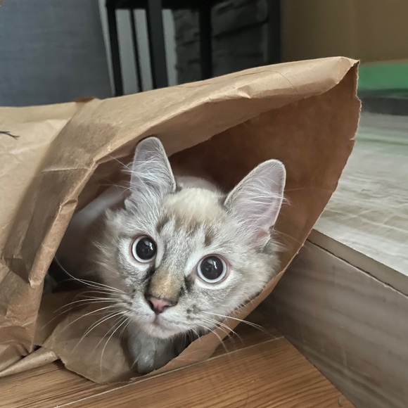 Read me! - Picture 3 of 3